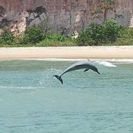 Апарт отель Flat Pipa'S Ocean A Passos Da Praia E Centro Pipa Praia de Pipa Экстерьер фото